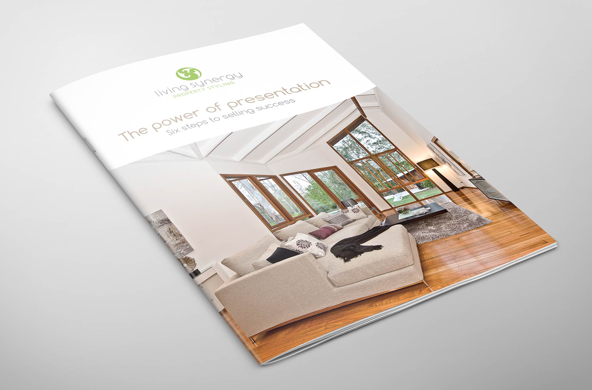 Living Synergy Brochure Design